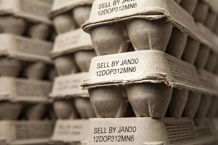 Banda transportadoras planas