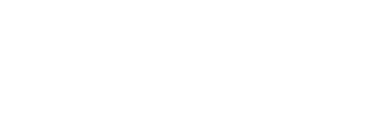 ICIAMEX